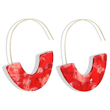 Load image into Gallery viewer, Leopard Print Long Dangle Earrings