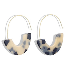 Load image into Gallery viewer, Leopard Print Long Dangle Earrings